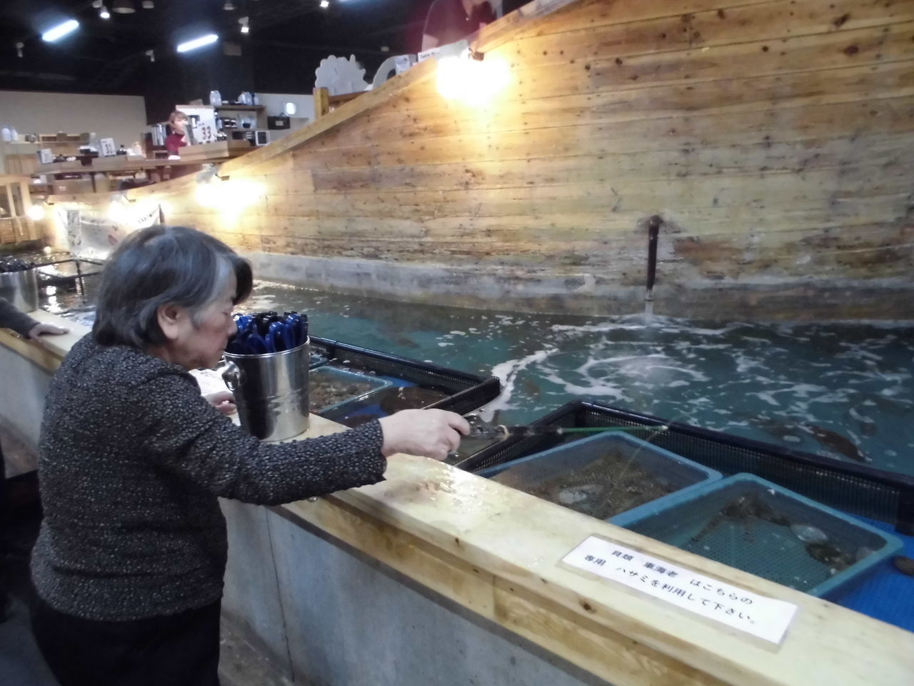 釣堀居酒屋 ざうお へ行ってきました らいふ成城野川緑道日記