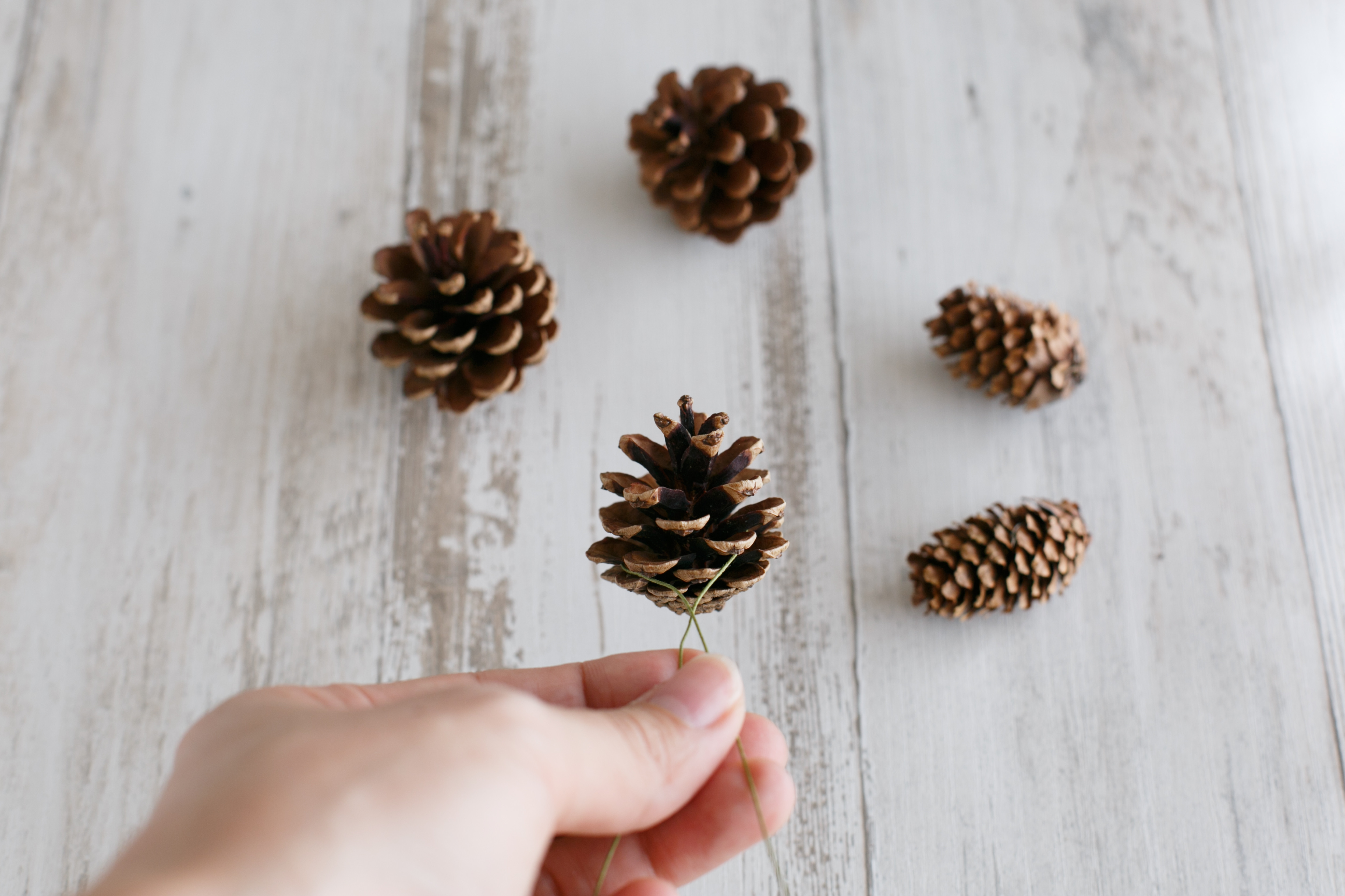 ナチュラルなお正月飾りを手作りしよう ドライフラワーを使ったしめ縄リースの作り方 Life Decoration フォト スタイリング 西村有 ナチュラルなお正月飾りを手作りしよう ドライフラワーを使ったしめ縄リースの作り方 Life Decoration フォト スタイリング 西村有