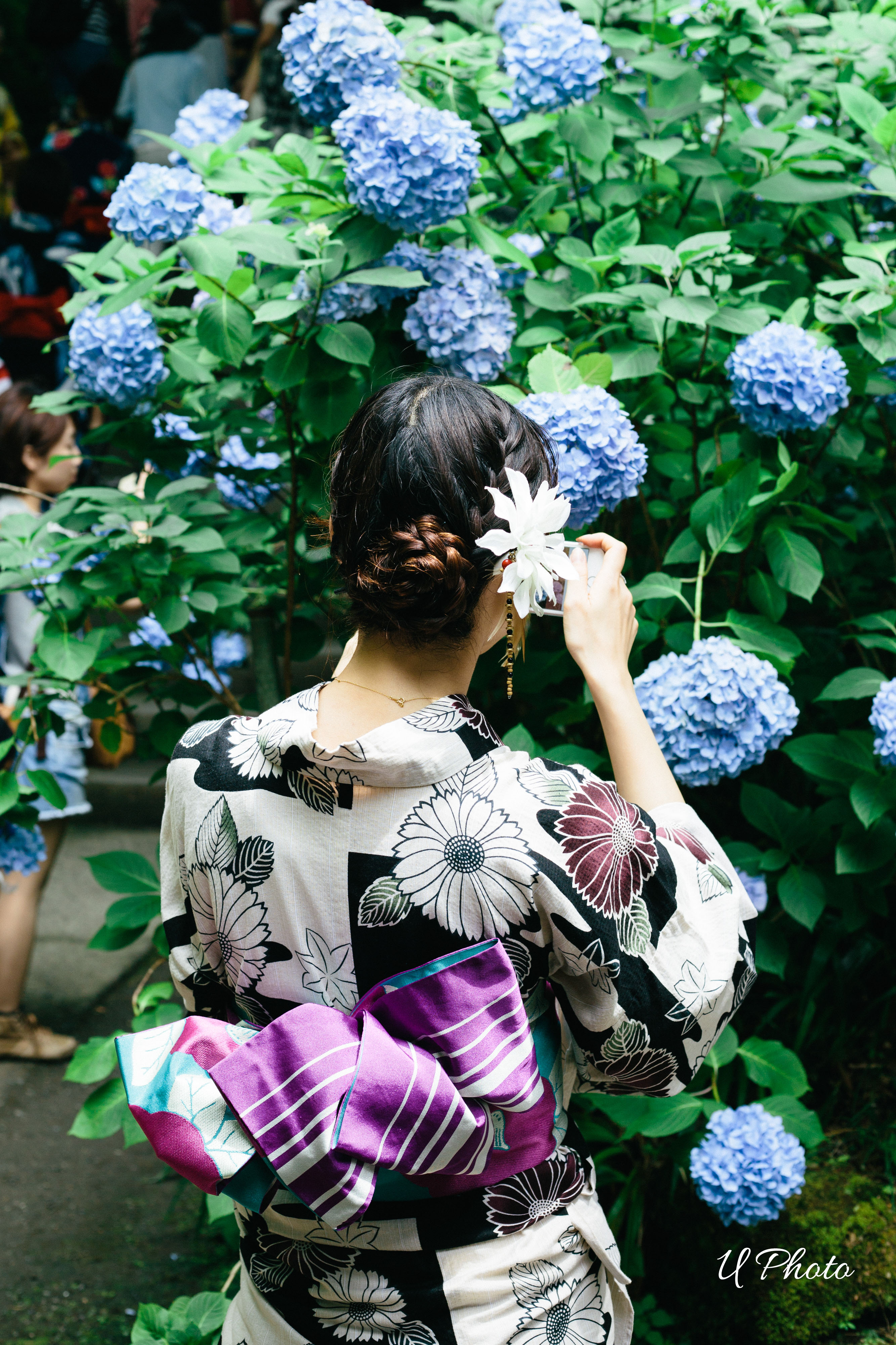 TOKYO photograp│鎌倉×紫陽花×浴衣美人 : LIFE Decoration│フォト