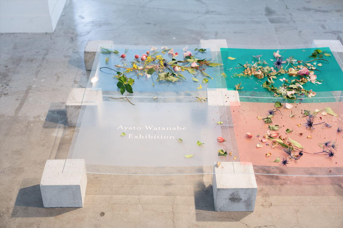 中目黒の花屋farver代表 渡辺さん個展と 好き を仕事にする事 Life Decoration フォト スタイリング 西村有