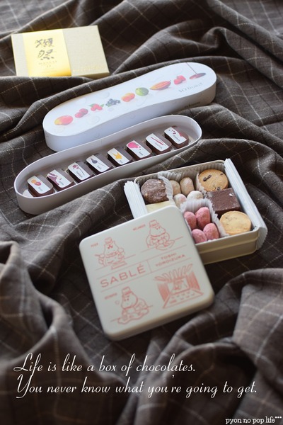 DSC_2923resized with textresized