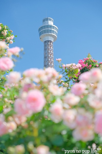 DSCF2442 - ���ԡ�resized