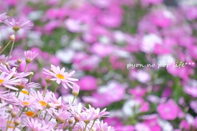 DSCF0777 - ���ԡ�resized