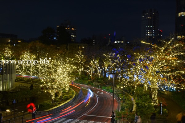 blogDSC_9594 - ���ԡ�