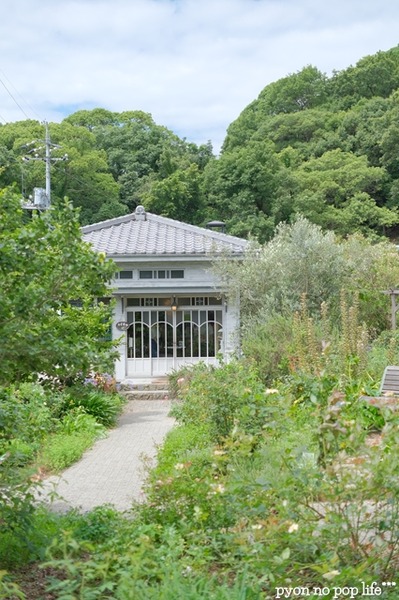 DSCF3529 - ���ԡ�resized