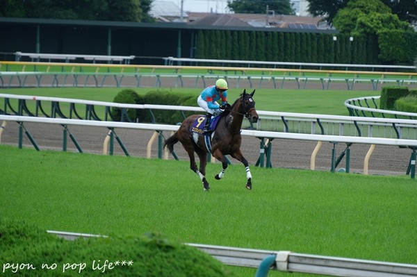 DSCF2122 - ���ԡ�resized