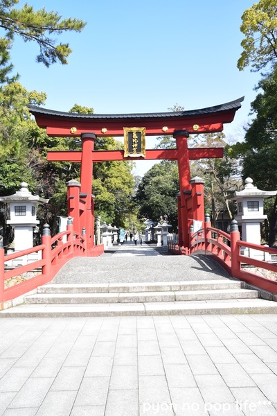 DSC_6086 - ���ԡ�