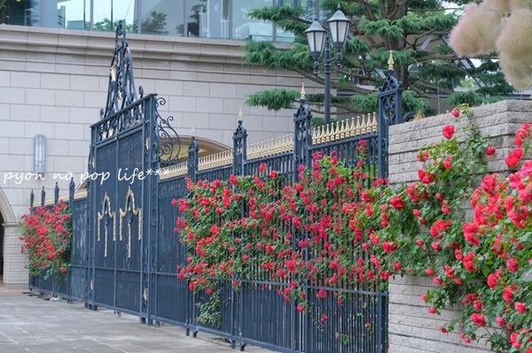 DSCF2022 - ���ԡ�resized