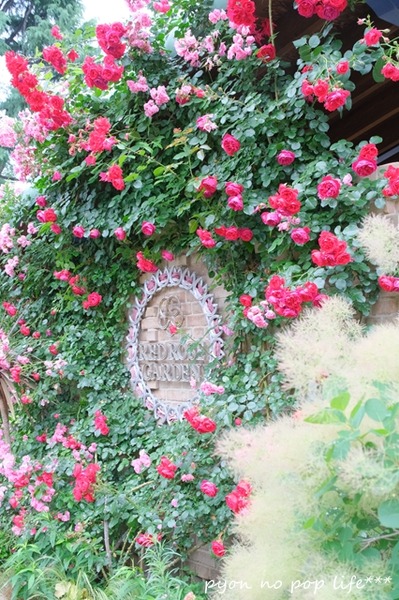 DSCF2078 - ���ԡ�resized