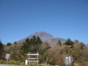 IMG_0894