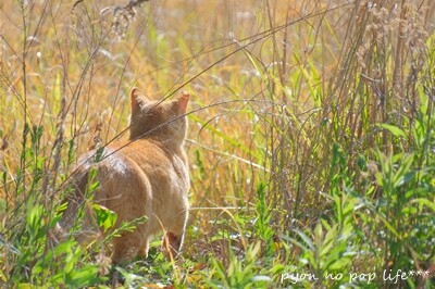 DSCF0501 - ���ԡ�resized