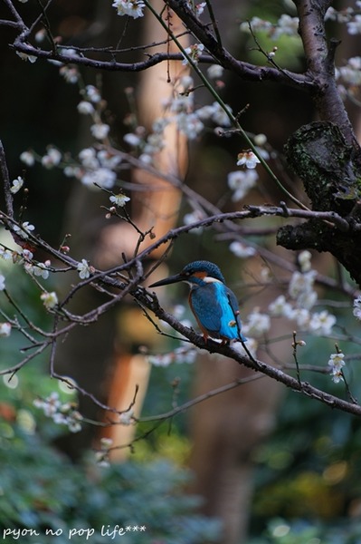 DSCF9389 - ���ԡ�resized