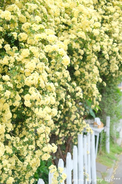 DSCF1001 - ���ԡ�resized