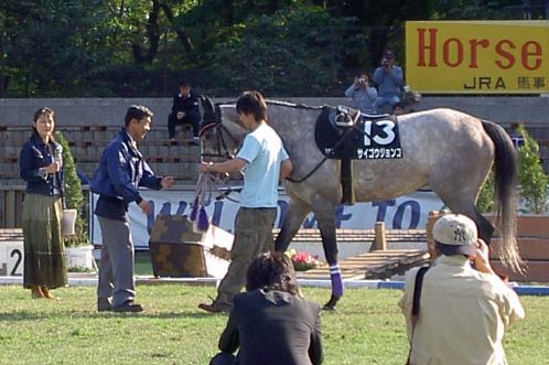 馬事公苑 ホースショー サイゴウジョンコお別れ会 : ○○○ぴょんの 
