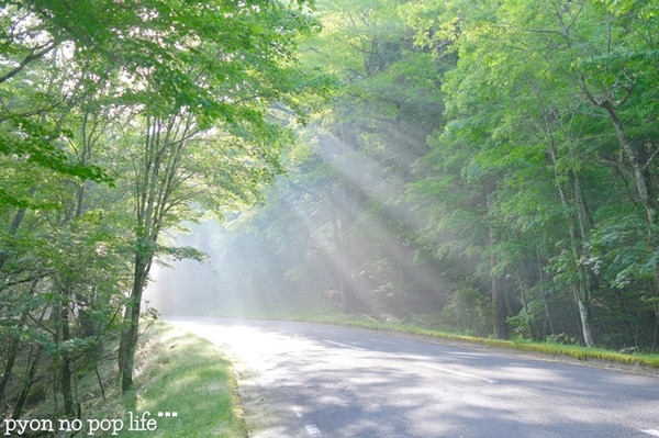 DSCF3293 - ���ԡ�resized