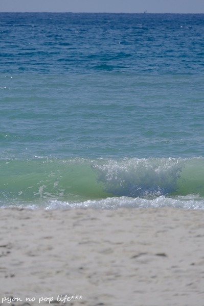 DSCF0748 - ���ԡ�resized