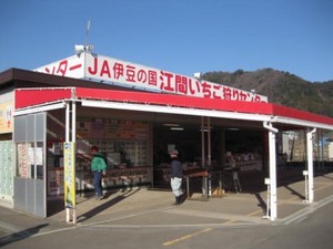 IMG_1654