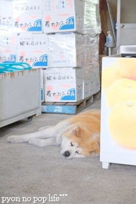 DSCF3259 - ���ԡ�resized