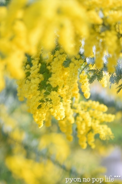 DSC_4028 - ���ԡ�resized