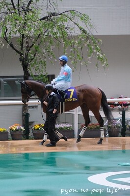 DSCF0490 - ���ԡ�resized