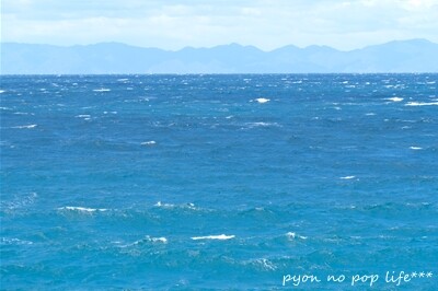 DSCF0838 - ���ԡ�resized