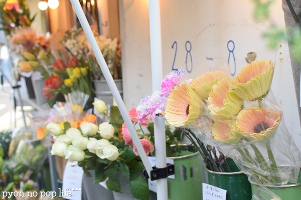 CSC_2597 - ���ԡ�resized