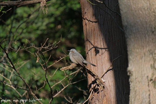 DSCF9145 - ���ԡ�resized