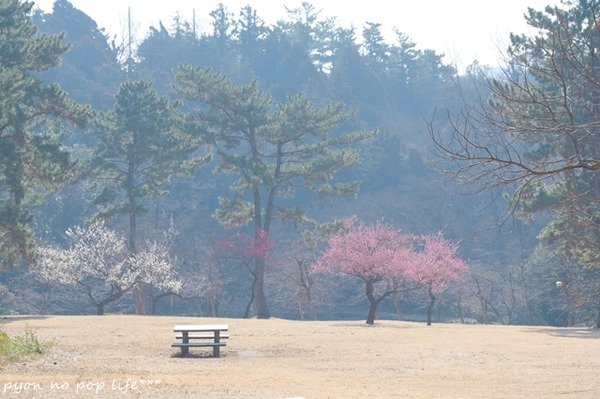 DSCF9147 - ���ԡ�resized