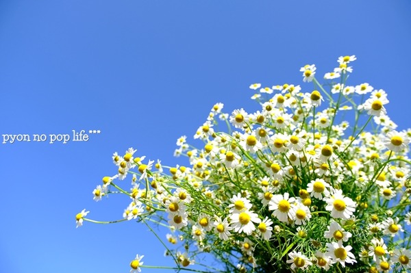 DSCF1764 - ���ԡ�resized