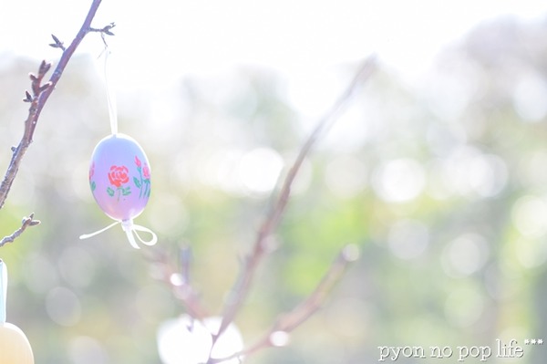 DSC_3984 - ���ԡ�resized