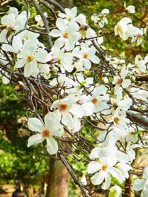 R0042201