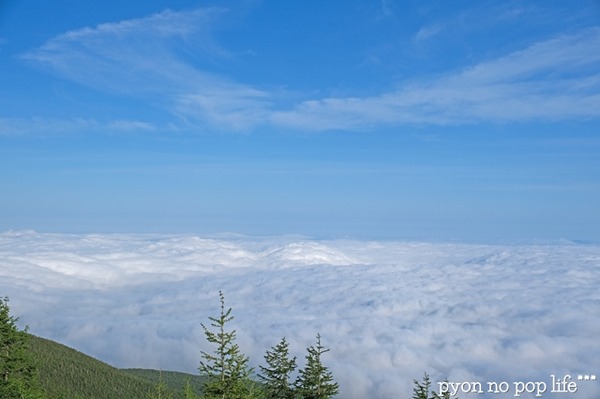 DSCF3307 - ���ԡ� akarui - ���ԡ�resized