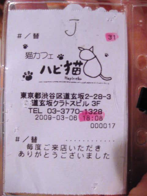 猫カフェ ハピ猫 ぴょんの Pop Life