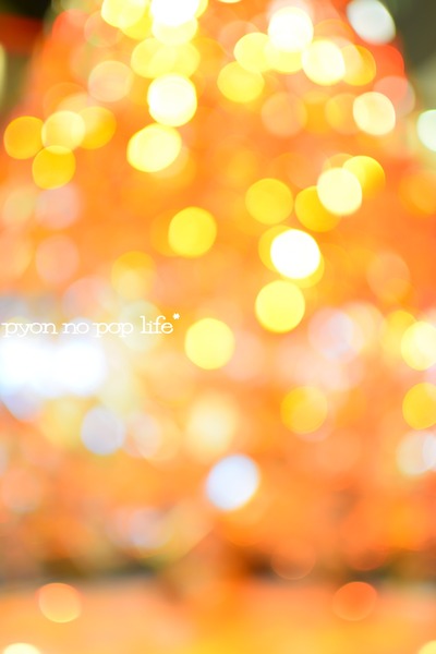 blogDSC_9369 - ���ԡ�