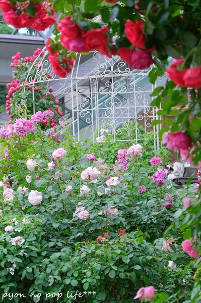 DSCF2074 - ���ԡ�resized