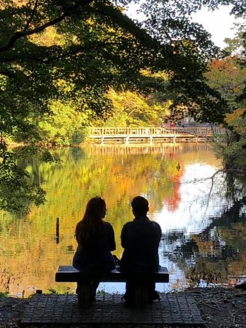 井の頭公園紅葉 ぴょんの Pop Life 井の頭公園紅葉 ぴょんの Pop Life