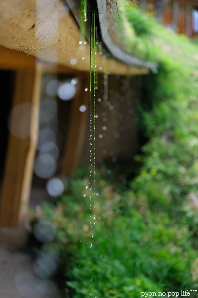 DSCF1430 - ���ԡ�resized