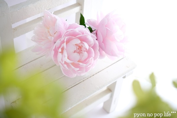 DSCF1802 - ���ԡ�resized