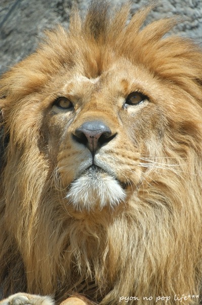 DSCF9525 - ���ԡ�resized