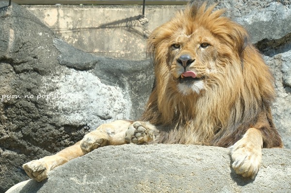 DSCF9523 - ���ԡ�resized