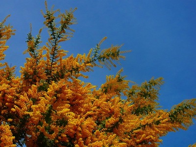 R0042087