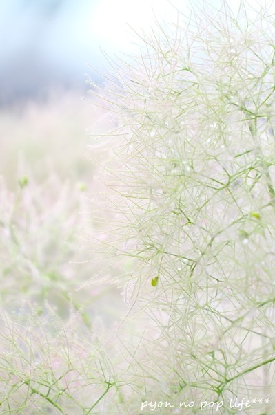 DSCF2051 - ���ԡ�resized