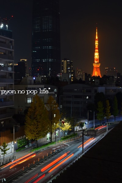 blogDSC_9439 - ���ԡ�