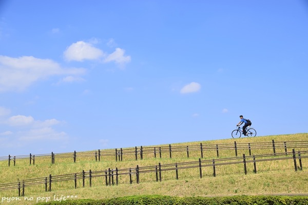 DSC_4276 - コピーresized