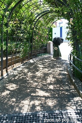 DSCF2270 - ���ԡ�resized