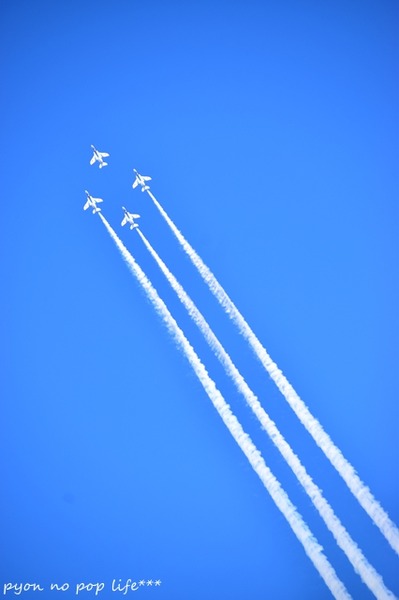 DSC_9029 - ���ԡ�resized