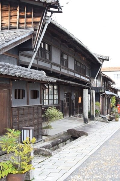 DSC_7152 - ���ԡ�resized