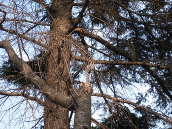 IMG_6040