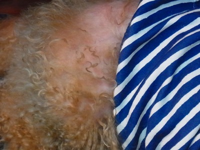 R0042754