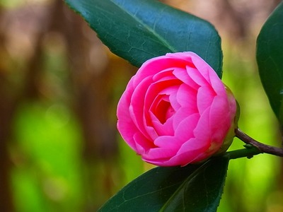 R0042220